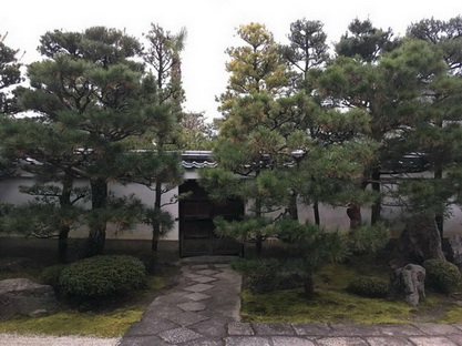 褒忠鄉樹木修剪，褒忠鄉黑松修剪