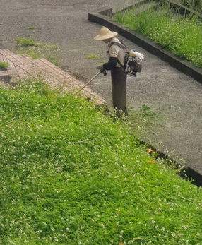 虎尾樹木修剪, 虎尾割草, 虎尾庭園維護, 虎尾園藝景觀設計