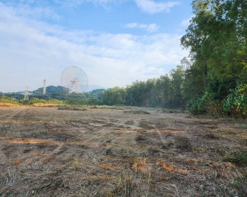 雲林除草整地, 雲林樹木修剪, 雲林割草, 雲林庭園維護, 雲林園藝景觀設計