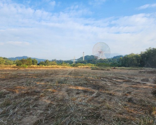 雲林除草整地, 雲林樹木修剪, 雲林割草, 雲林庭園維護, 雲林園藝景觀設計