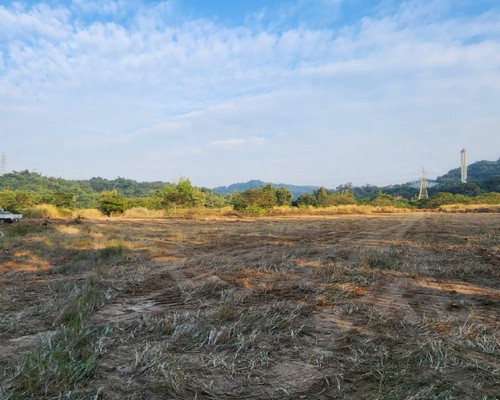 雲林除草整地, 雲林樹木修剪, 雲林割草, 雲林庭園維護, 雲林園藝景觀設計