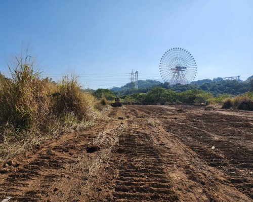 雲林除草整地, 雲林樹木修剪, 雲林割草, 雲林庭園維護, 雲林園藝景觀設計