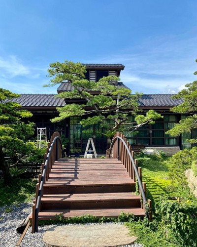 雲林樹木修剪, 雲林五葉松修剪, 雲林五葉松整枝, 雲林五葉松雕塑