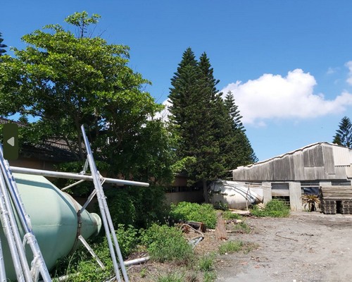 麥寮除草整地, 麥寮樹林疏伐移植, 麥寮整地移樹, 麥寮整地除草, 麥寮枯葉雜木清除, 麥寮大樹移除, 麥寮整地雜草清運