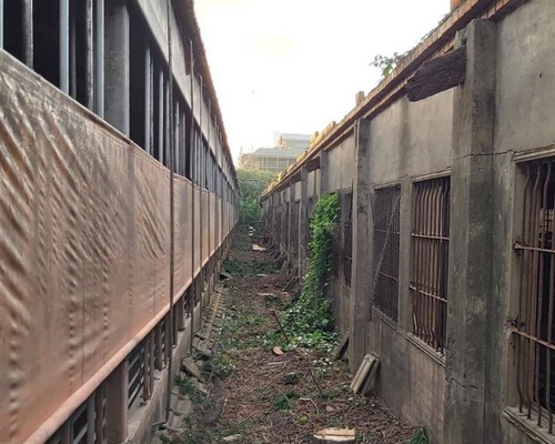 雲林麥寮除草整地, 雲林麥寮樹林疏伐移植, 雲林麥寮整地移樹, 雲林麥寮整地除草, 雲林麥寮枯葉雜木清除, 雲林麥寮大樹移除, 雲林麥寮整地雜草清運