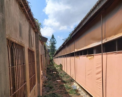 雲林除草整地, 雲林樹林疏伐移植, 雲林整地移樹, 雲林整地除草, 雲林枯葉雜木清除, 雲林大樹移除, 雲林整地雜草清運