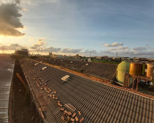 雲林除草整地, 雲林樹林疏伐移植, 雲林整地移樹, 雲林整地除草, 雲林枯葉雜木清除, 雲林大樹移除, 雲林整地雜草清運