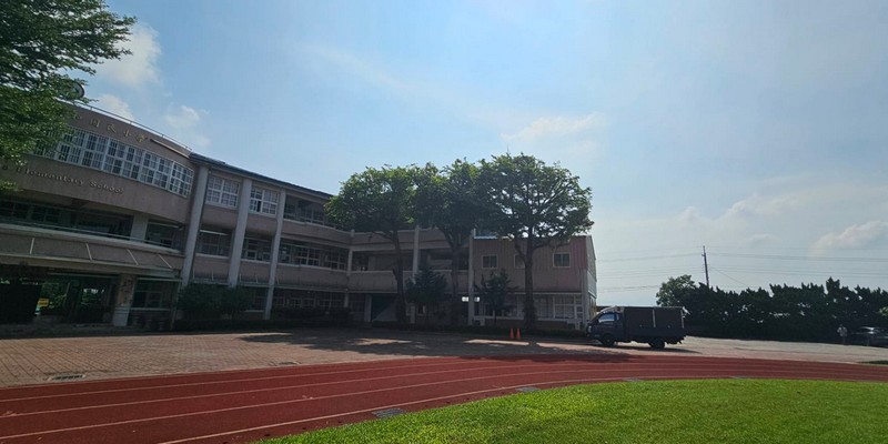 雲林校園樹木修剪, 雲林樹木修剪公司, 莿桐樹木修剪