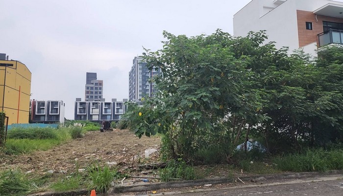 崙背鄉除草整地, 崙背鄉割草