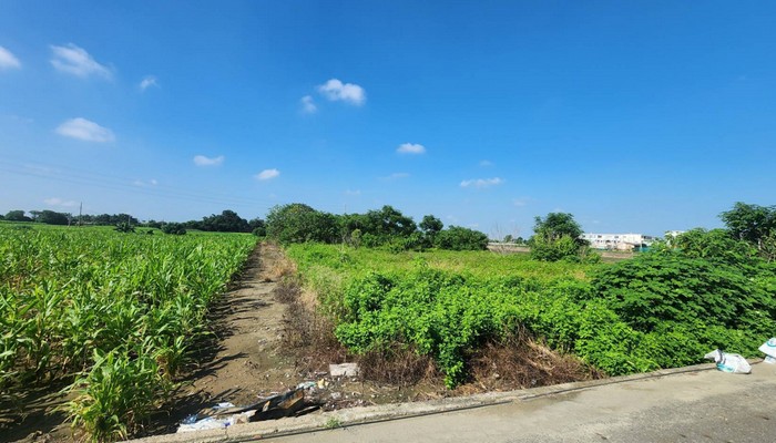 崙背鄉除草整地, 崙背鄉割草