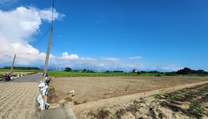 崙背鄉代客割草, 崙背鄉除草